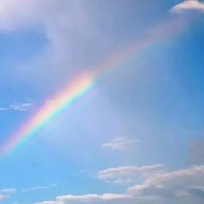 博鱼boyu体育官方网站截图